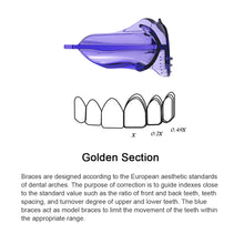Load image into Gallery viewer, Teeth Straightener